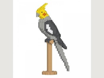 Image 1 of 2