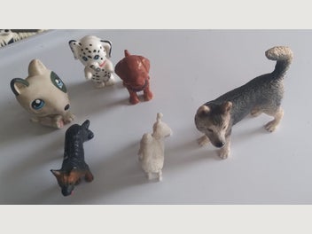 Image 1 of 5