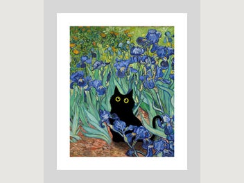 Image 1 of 11