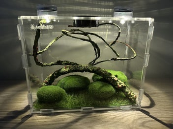 Image 1 of 7