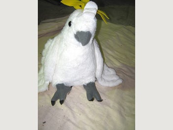 Image 1 of 8