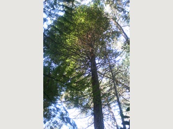 Image 1 of 9