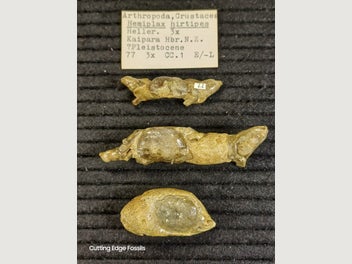 Image 1 of 11