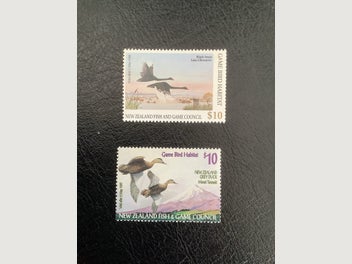 Image 1 of 2