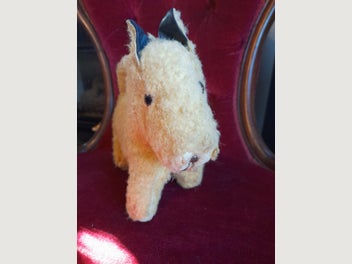 Image 1 of 5