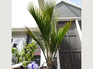 Image 1 of 5
