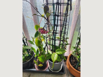Image 1 of 19
