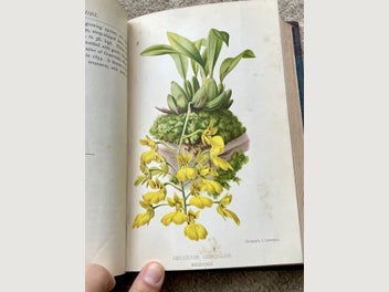 Image 1 of 18