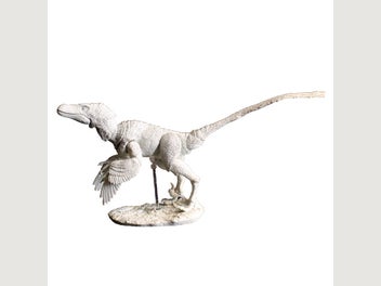 Image 1 of 10