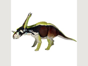 Image 1 of 7