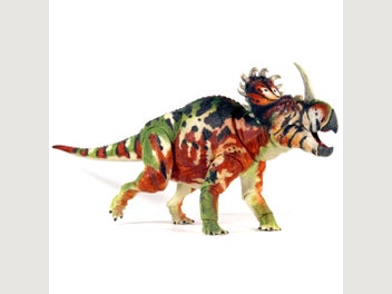 Image 1 of 8
