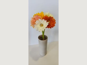 Image 1 of 9