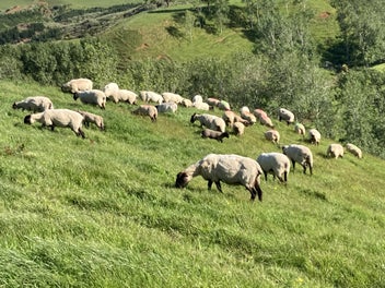 Image 1 of 4