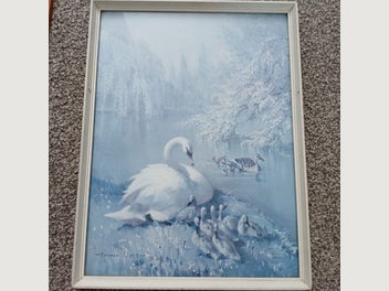 Image 1 of 7