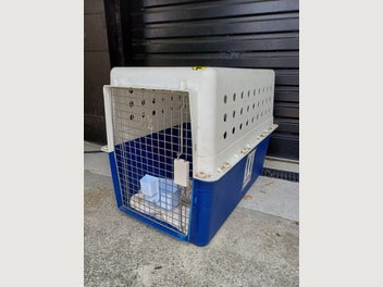 Image 1 of 8