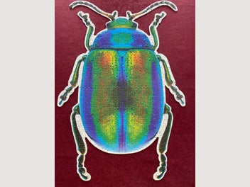Image 1 of 2