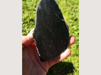 Image 1 of 8