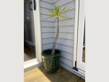 Image 1 of 7