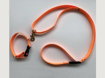 Image 1 of 9