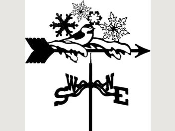 Image 1 of 9