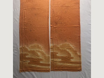 Image 1 of 19