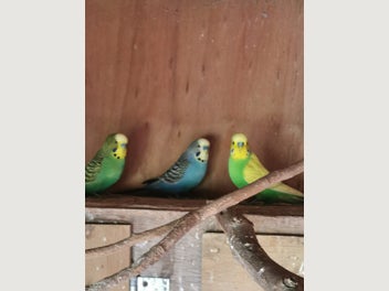 Image 1 of 6
