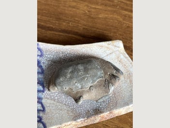 Image 1 of 7