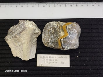 Image 1 of 20