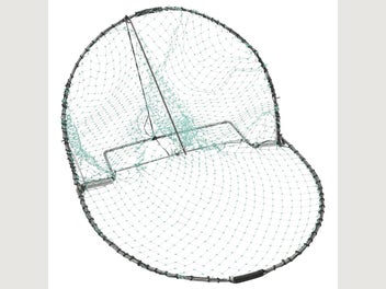 Image 1 of 9