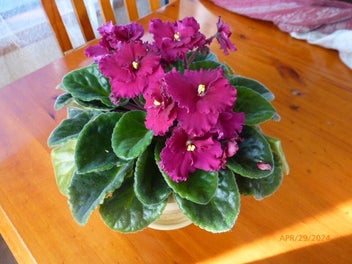 Image 1 of 4