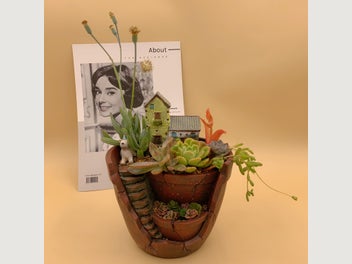 Image 1 of 7
