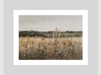 Image 1 of 11
