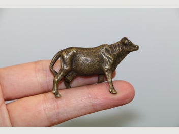 Image 1 of 5