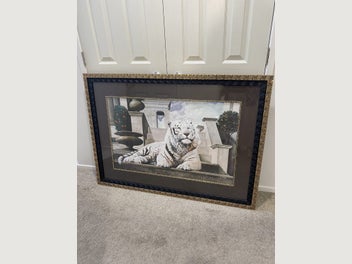 Image 1 of 7