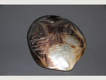Image 1 of 7