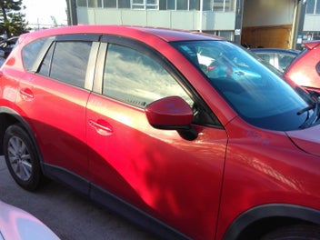 Image 1 of 12