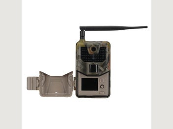 Image 1 of 7