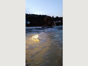 Image 1 of 7