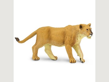 Image 1 of 14