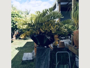 Image 1 of 17