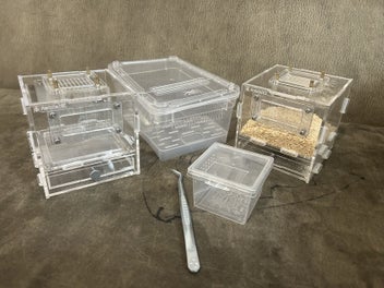 Image 1 of 7