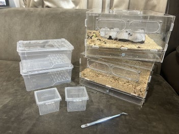 Image 1 of 19