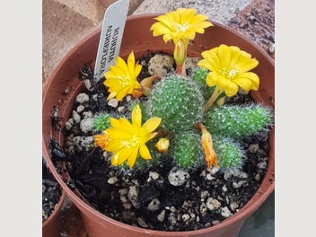 Image 1 of 3