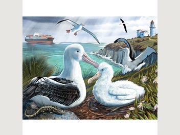 Image 1 of 5