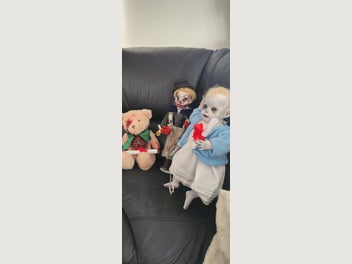 Image 1 of 10