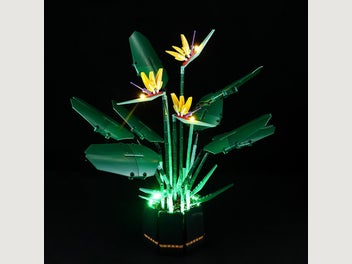 Image 1 of 13