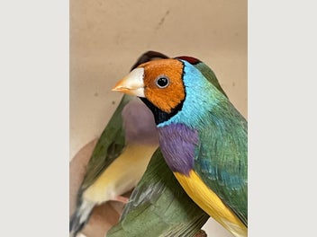 Image 1 of 6