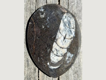 Image 1 of 14