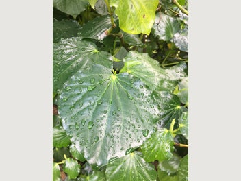 Image 1 of 13