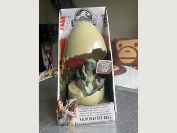 Image 1 of 5